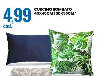 Eurospin CUSCINO BOMBATO 40X40CM/30X50CM* offerta
