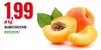 Eurospin ALBICOCCHE offerta