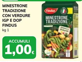 Basko MINESTRONE TRADIZIONE CON VERDURE IGP E DOP FINDUS kg 1 offerta