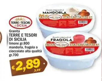 Ard Discount Granita TERRE E TESORI DI SICILIA limone gr.800 offerta