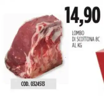 Carico Cash & Carry LOMBO DI SCOTTONA 8C offerta