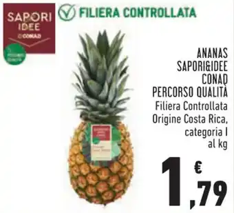 Conad Margherita ANANAS SAPORI&IDEE CONAD PERCORSO QUALITÀ offerta