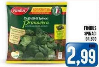 FINDUS SPINACI GR.800