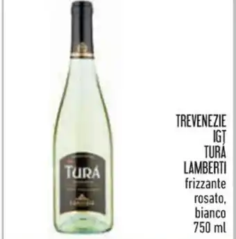 Conad TREVENEZIE IGT TURA LAMBERTI frizzante rosato, bianco 750 ml offerta