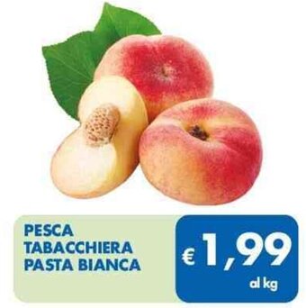 MD Discount PESCA TABACCHIERA PASTA BIANCA offerta