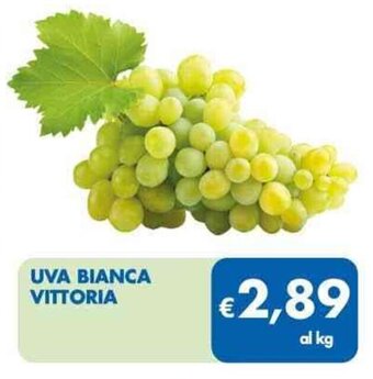 MD Discount UVA BIANCA VITTORIA offerta