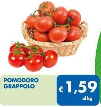 MD Discount POMODORO GRAPPOLO offerta