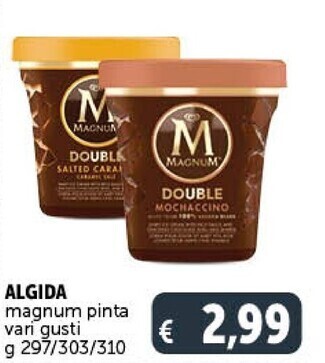 Gourmet Déco Algida magnum pinta offerta