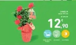 Spazio Conad Fusi o sovracosce di pollo offerta