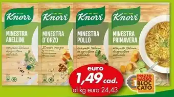 Italmark Knorr minestra anellini offerta