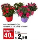 Il Gigante Casa modena teneroni offerta