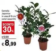 Il Gigante Sottilette classiche le originali offerta