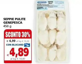 Genepesca Seppie Pulite