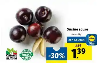 Lidl Susine Scure offerta