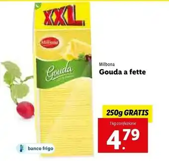 Lidl Milbona Gouda A Fette offerta
