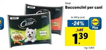 Lidl Cesar Bocconcini Per Cani offerta