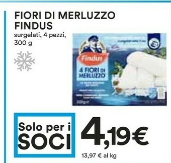 Coop Findus 4 Fiori Di Merluzzo 300 G(ml) offerta