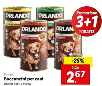 Lidl Orlando Bocconcini Per Cani offerta