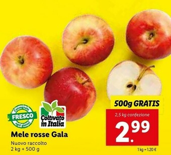 Lidl Mele Rosse Gala offerta