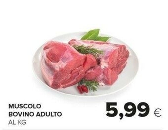 Tigre Muscolo Bovino Adulto offerta