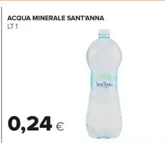 Sant'anna Acqua Minerale Naturale 1000 G(ml)
