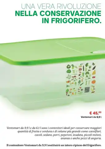 Vera Ventsmart