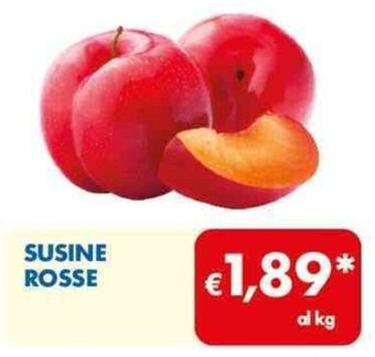 MD Discount SUSINE ROSSE offerta