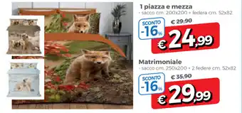 Famila Matrimoniale sacco 250x200cm + 2 federe 52x82cm offerta