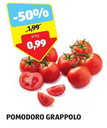 ALDI POMODORO GRAPPOLO offerta