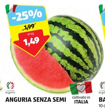 ALDI ANGURIA SENZA SEMI offerta