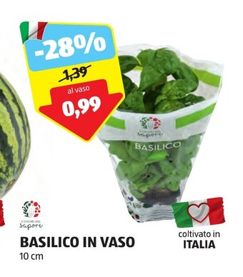ALDI BASILICO IN VASO 10 cm offerta