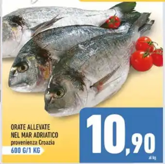 Conad ORATE ALLEVATE NEL MAR ADRIATICO provenienza Croazia 600 G/1 KG offerta