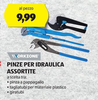 WORKZONEⓇ PINZE PER IDRAULICA ASSORTITE