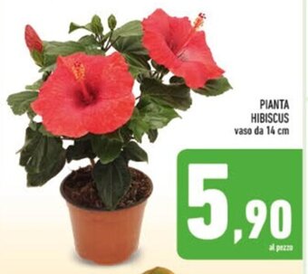 Conad PIANTA HIBISCUS vaso da 14 cm offerta