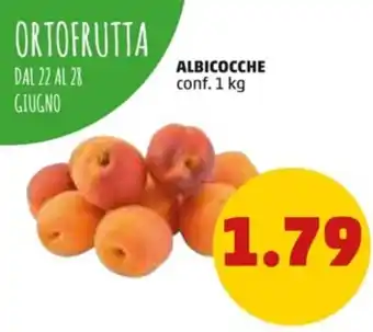 ALBICOCCHE conf. 1 kg