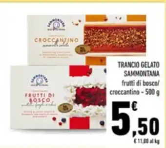 Conad TRANCIO GELATO SAMMONTANA frutti di bosco/ croccantino - 500 g offerta