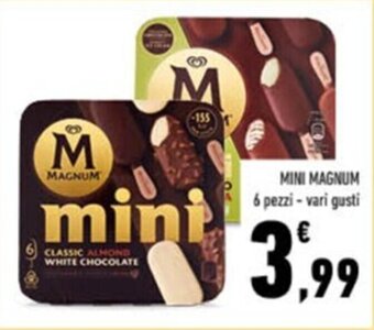 Conad MINI MAGNUM 6 pezzi - vari gusti offerta
