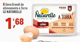 Supermercati Dok Uova Grandi da allevamento a Terra LE NATURELLE offerta