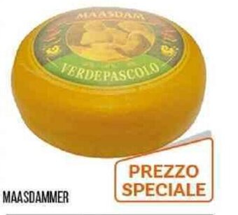 Cash pro MAASDAMMER offerta