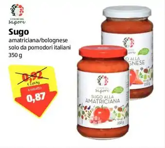 ALDI I Colori del Sapore Sugo 350g offerta