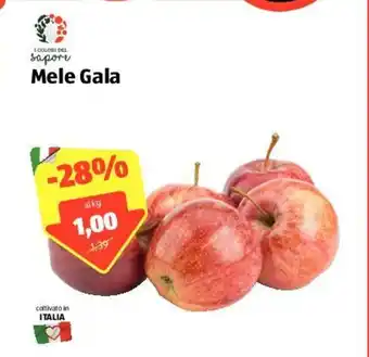 ALDI I Colori del Sapore Mele Gala offerta
