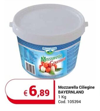 Centro Cash Mozzarella Ciliegine BAYERNLAND 1 kg offerta