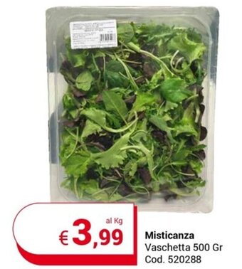 Misticanza Vaschetta 500 Gr