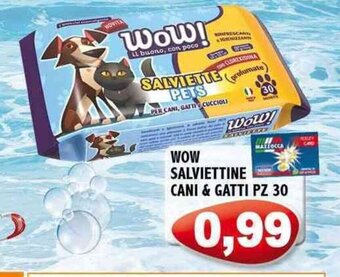 Mazzocca WOW SALVIETTINE CANI & GATTI PZ 30 offerta