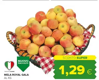 Tigre Royal Mela Gala offerta