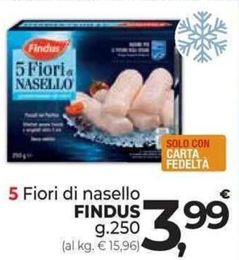 Supermercati Dok 5 Fiori di nasello FINDUS g.250 offerta