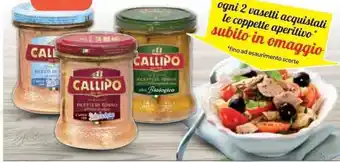 Supermercati Dok Filetti di tonno CALLIPO g.170 vari tipi offerta