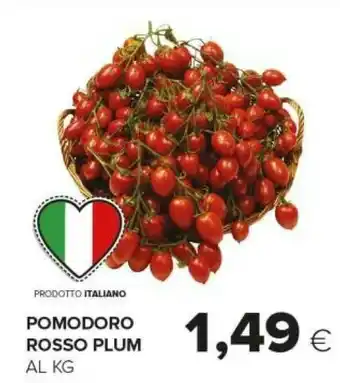 Tigre Pomodori Rosso Plum offerta