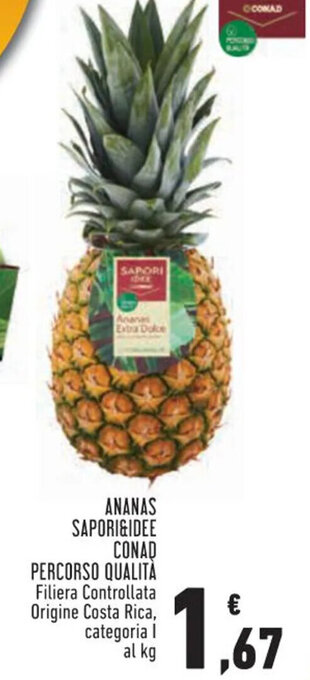 Conad City ANANAS SAPORI&IDEE CONAD offerta