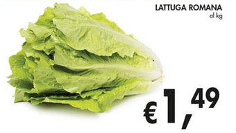 Coal LATTUGA ROMANA offerta